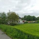 ČESKÝ KYNOLOGICKÝ SVAZ Kozmice u Hlučína