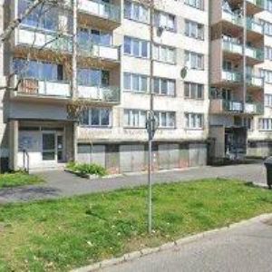 obrazek: avatar MUSÁLEK ROMAN