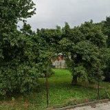 BARTKOVSKÝ ROMAN-OK PRINT