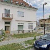 HALUZA PAVEL-BRUSIVO