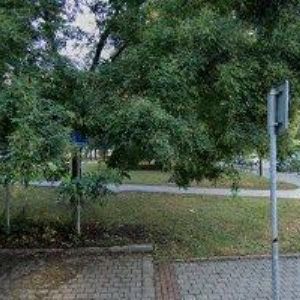 obrazek: avatar STAROSTKA LADISLAV