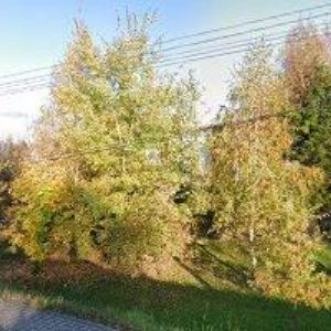 obrazek: avatar DYBA BŘETISLAV-PRODEJ-PŮJČOVNA STROJŮ