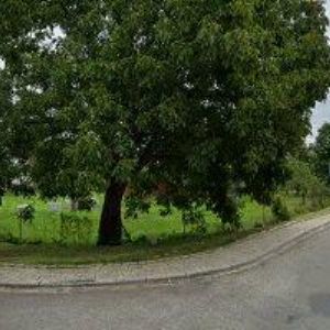 obrazek: avatar DOMPOT TRUBAČ