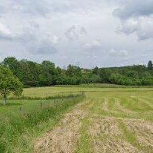 obrazek: avatar BRÜCKNER RADEK