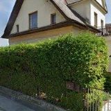 LICHTENBERG JESENÍK s.r.o.