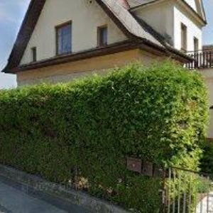 obrazek: avatar LICHTENBERG JESENÍK s.r.o.