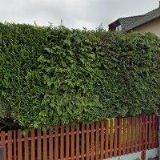 NÁVRAT STOLAŘSTVÍ