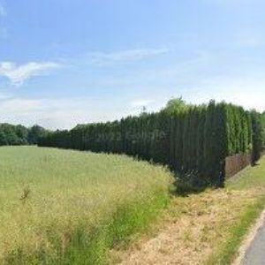 obrazek: avatar MACHÁČEK RADIM-STOLAŘSTVÍ