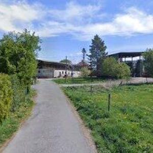 obrazek: avatar ZUBEK MIROSLAV