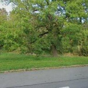 obrazek: avatar LAJNVEBER s.r.o.