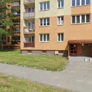 obrazek: avatar SVOBODA PETR-STOLAŘSTVÍ