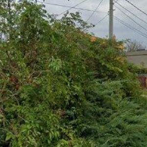 obrazek: avatar INDICO spol. s r.o.