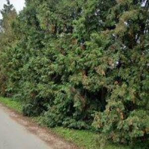 obrazek: avatar NÁBYTEK MG PRODUCTION s.r.o.