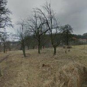 obrazek: avatar TRUHLÁŘSTVÍ VINKLÁREK