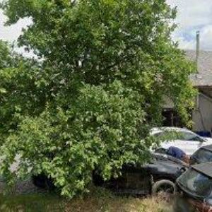 obrazek: avatar NÁDVORNÍK ZDENĚK-VÝROBA NÁBYTKU