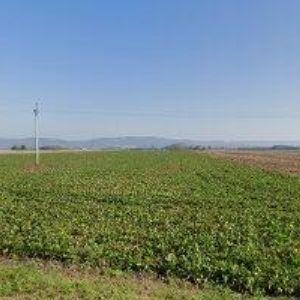 obrazek: avatar TRUHLÁŘSTVÍ ŠPIČKA