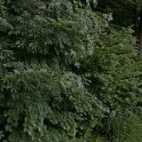 TRUHLÁŘSTVÍ ZBIJOVSKÝ