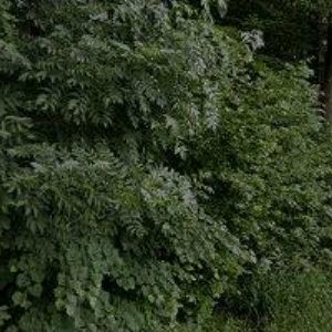 obrazek: avatar TRUHLÁŘSTVÍ ZBIJOVSKÝ