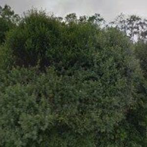 obrazek: avatar JANDA DALIBOR-STOLAŘSTVÍ