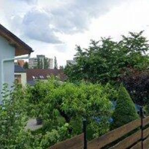 obrazek: avatar JANČAŘÍKOVÁ ALENA