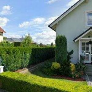 obrazek: avatar VOŽNÍK JAN