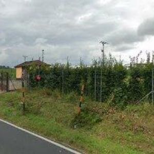 obrazek: avatar MACHALÍČEK VÍTĚZSLAV-SDRUŽENÍ TAPISSIER