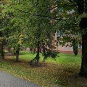 obrazek: avatar BALONEK MARTIN