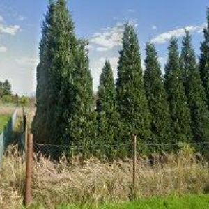 obrazek: avatar KUCHYNĚ ONE