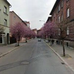 obrazek: avatar OVÁDEK JOZEF-ZLATNICTVÍ