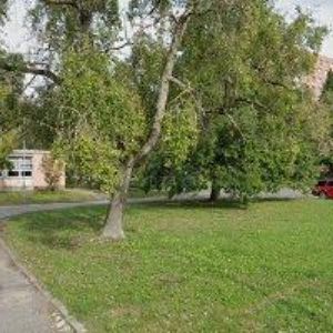 obrazek: avatar CHRONOS HODINY-KLENOTY, s.r.o.