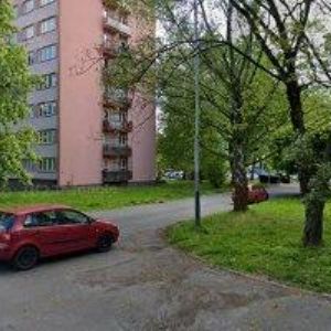 obrazek: avatar PALA KRBY