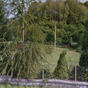 obrazek: avatar JOVACOM