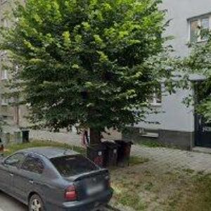 obrazek: avatar LOSERT JOSEF Mgr.