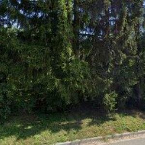 obrazek: avatar ŠVÉDA MIROSLAV