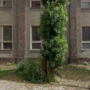 obrazek: avatar BEZPEČNOSTNÍ SLUŽBA SOBEK s.r.o.