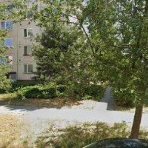 obrazek: avatar TZ SERVIS