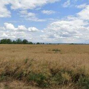 obrazek: avatar GRUNT MARTIN