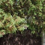 LUKY SYSTEM, spol. s r.o.