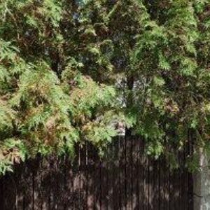 obrazek: avatar LUKY SYSTEM, spol. s r.o.