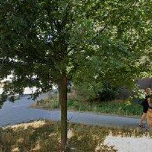 obrazek: avatar PIZÚR PETR