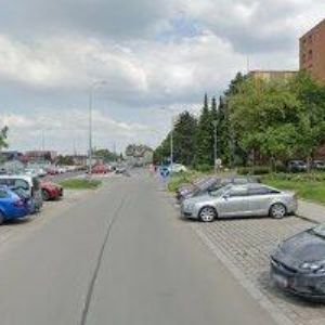 obrazek: avatar SKOTNICA ZDENĚK