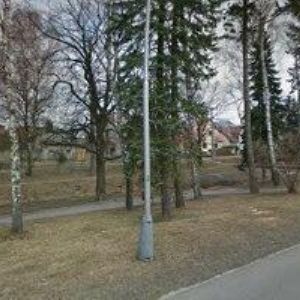 obrazek: avatar NĚMEC ROMAN