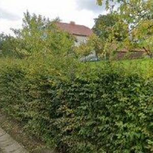 obrazek: avatar KONAP