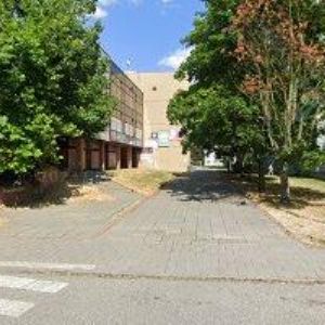 obrazek: avatar TYLICH DALIBOR