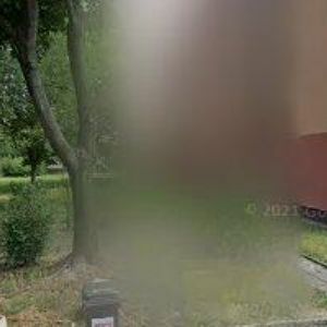 obrazek: avatar PROCHÁZKA ALEŠ-ŠELA SPORT