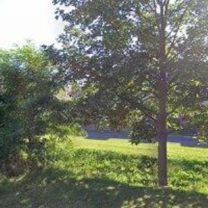 obrazek: avatar HEŘMANOVSKÝ IVO