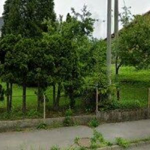 obrazek: avatar KRAMOLIŠ RADOMÍR