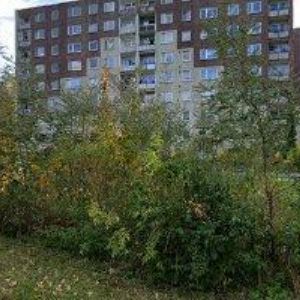 obrazek: avatar OKNA-DAP s.r.o.