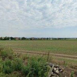 obrazek: avatar DŘEVONET-VÝROBA-ZAKÁZKOVÁ s.r.o.