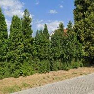 obrazek: avatar K.Z.ČERNÝ, s.r.o.